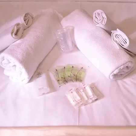 招待所 堤布迪纳旅馆 4*